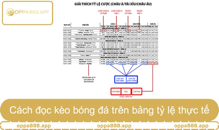 Cách đọc kèo bóng đá trên bảng tỷ lệ thực tế